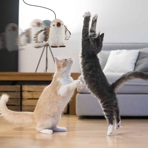 Jouet interactif pour chats exercice autonome contre la sédentarité domestique - 8