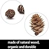 Deloky 150 Pcs Christmas Natural Mini Pine Cones- 2CM Thanksgiving Small Pinecones Ornaments Vase Fillers for DIY Crafts, Home Decorations, Fall and Christmas, Wedding Decor #1