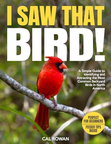 I Saw That Bird!: A Simple Guide to Identifying and Attracting the Most Common Backyard Birds in North America