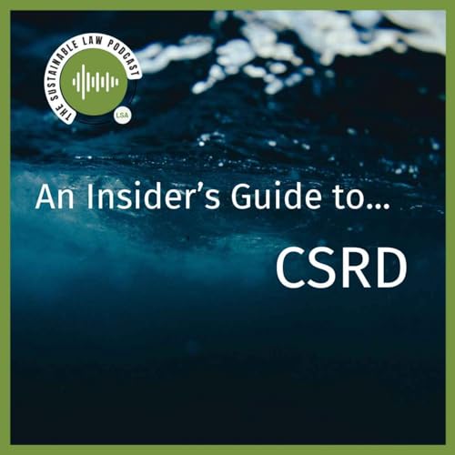 An Insider's Guide to... CSRD