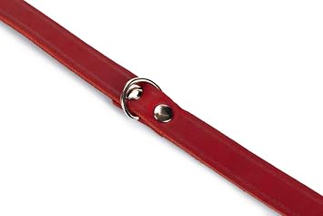 Karlie Deri Evcil Hayvan Boyun Tasması, 47 cm-18 mm, Kırmızı