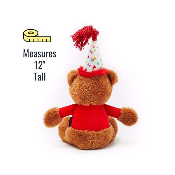 Present to Celebrate Dog's Bday or Adoption