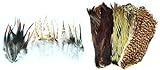 Storfisk fishing & more