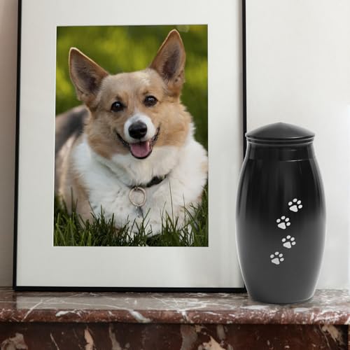 Image of Pet Memorial Gift for Loss of Dog or Cat, Memorial Urn for Ashes | 5.5 inches Small & Medium Aluminum Cremation Urn for Pet Ashes,Pet Urn for Fur, Hair, Whiskers or Ashes(25 lbs Capacity)
