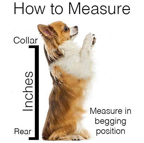 WLDOCA Hunderucksäcke für mittlere Hunde bis 15kg - Atmungsaktiver Faltbarer hundetransporttaschen - Geeignet für Motorradfahren, Wandern, Einkaufen, Reisen - Sicherheit Komfort,Gray,L