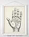 Vintage Palm Reading Chart 11x14 Unframed Print–Witchy occult wall art featuring wicca, magic, and mystical décor. Great for vintage Halloween, oddities, curiosities, & unique home decoration displays