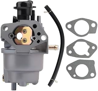 Carburetor Replacement Applicable to Thunderbolt 3708 11HP 5700W Generator - Backup Power Start Tests Before Winter Storage in a Field Repair kit, with Fresh Fuel