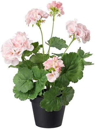 ｉｋｅａ 使い勝手の良い イケア Fejka 人工観葉植物38 Cm ゼラニウム ピンク 703 953 38