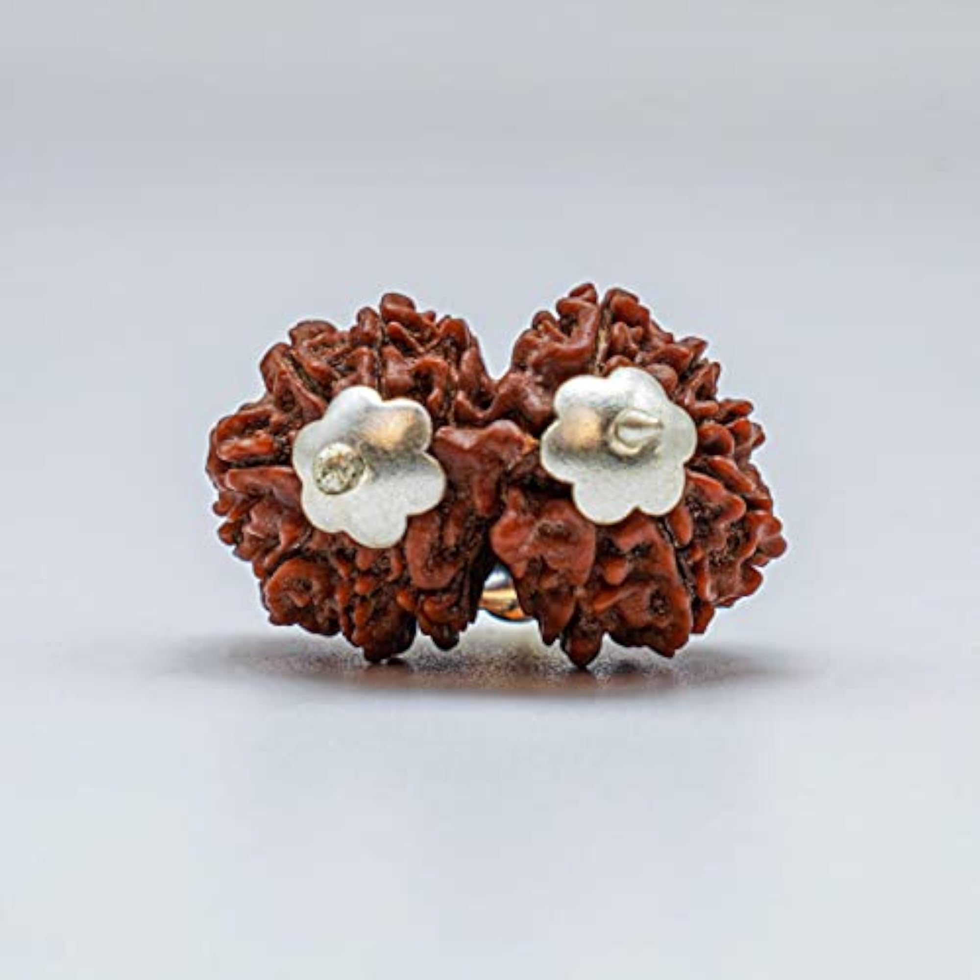 Gauri Shankar Rudraksha Bead, Original Certified