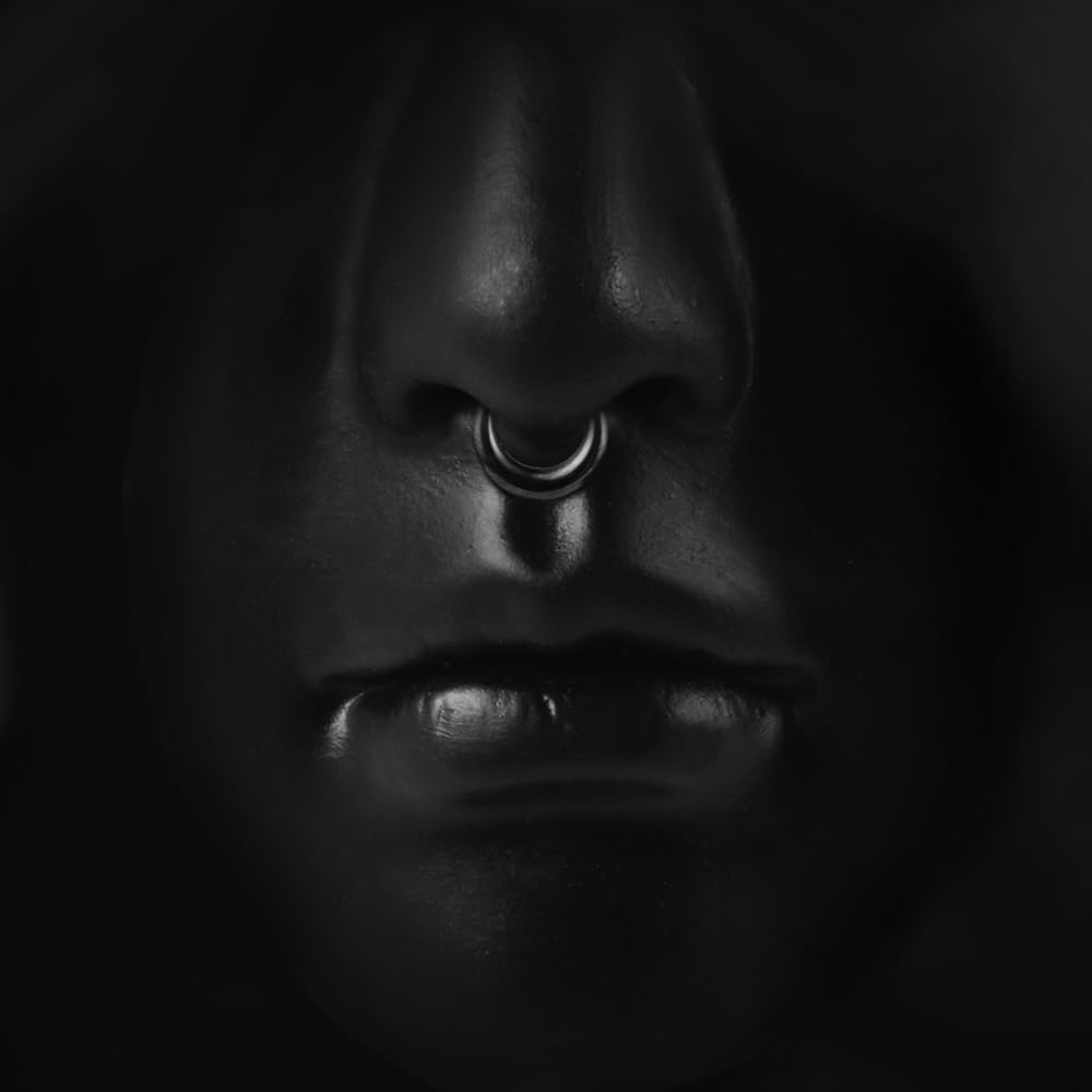 MOQIKAKA16G 8mm Septum Rings - Stainless Steel Segment Nose Rings for Women Men - Hinged Segment Nose Helix Cartilage Clicker Hoop Earrings for Daith Rook Tragus Piercing - Image 8