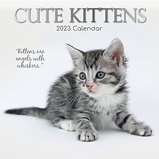 Wall Calendar 2023 - Cute Kittens, 30 x 30 CM Monthly View, 16-Month, Animals Theme, Includes 180 Reminder Stickers