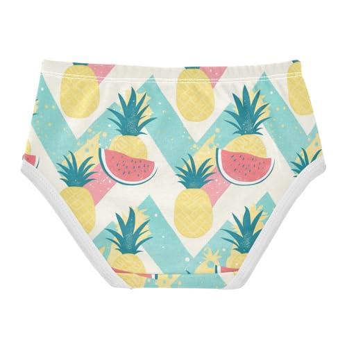 Wusikd Pineapples Watermelons Girls' Underwear Cotton Chevron Girls Briefs Soft Toddler Underwear 2T2