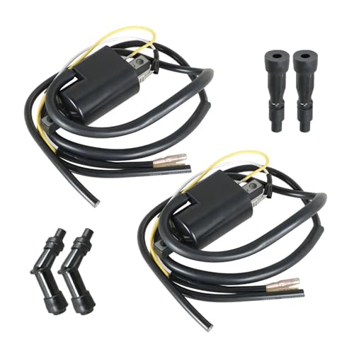 HYQHYX Bobina Encendido Bobinas Encendido para CB750 para CB750A para CB750K 1969-1973 1974 1975 1976 1977 1978 Bobinas Encendido Tapas Bujías 30501-300-003 30502-300-003