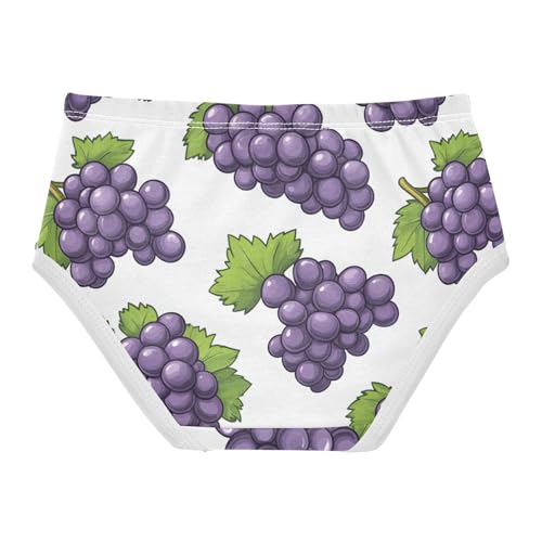 Wusikd Purple Grapes Girls' Underwear Cotton Green Leave Girls Briefs Soft Toddler Underwear 2T2