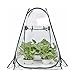 Serres Mini Serre de Jardin Escamotable en PVC, Tente de Culture de Petits Pots de Fleurs pour L'intérieur Extérieur, Abri de Fleurs D'arrière-Cour