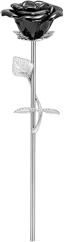 Miniatura 12 de Urnas de recuerdo de rosas para cenizas humanas - Medallón de urna conmemorativa - Urnas de cremación de flores de rosas coloridas de tallo largo -