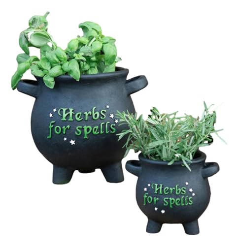 Ebros Gift ウィッカ オカルトグリーン 親指 ガーデニング ブラック 聖なる魔術 ハーブ 星 ほこりの付いた呪文用 大釜 プランター ポット フローラルコンテナ マジカルテラコッタ ホームアクセント (2個詰め合わせサイズ)
