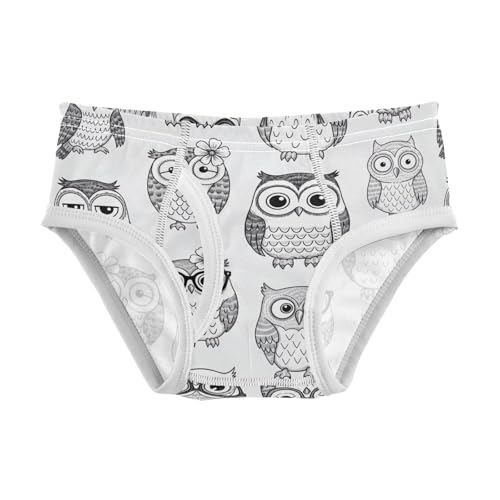 CHIFIGNO Boys' Briefs Cute Owl Gray Toddler Boy Underwear Soft Cotton Underwear Briefs