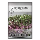 Tasty - Premium pack of seeds to grow red cabbage microgreens (Brassica Oleracea), which have vibrant violet stems, green leaves and a deliciously mild cabbage flavor. Excellent variety to add to salads or sandwiches. Minimum 14g per Packet (about 34...