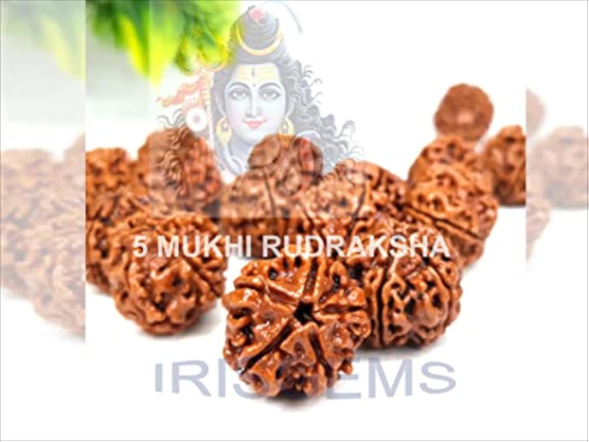 5 Mukhi Kalagni Rudraksha Brown Beads, Lab Certified