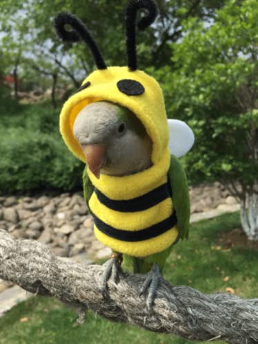 Image of Bird Costume Diaper Flight Suit Bee Shape Clothes Cosplay Photo Prop for Parrots Lovebird Budgie Parakeet Cockatiel Sun Conure, Small Animals Apparel (Bee Without Diaper, Medium), Green (BPF1)