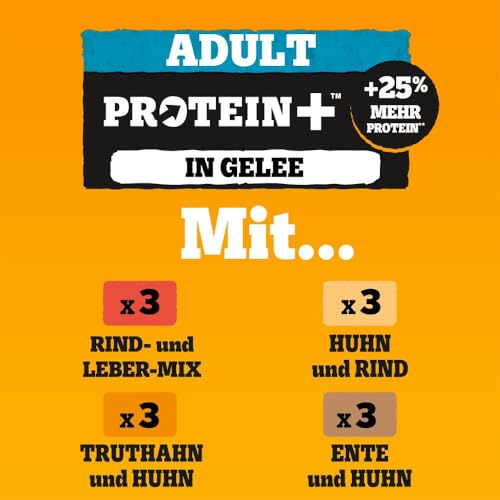Pedigree Hund Portionsbeutel Protein Plus mit Stückchen in Gelee für ausgewachsene Hunde 4 x 12 x 85 g