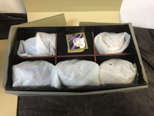 �i �i �����q �O�m���� ���q ���� 5�q�Z�b�g