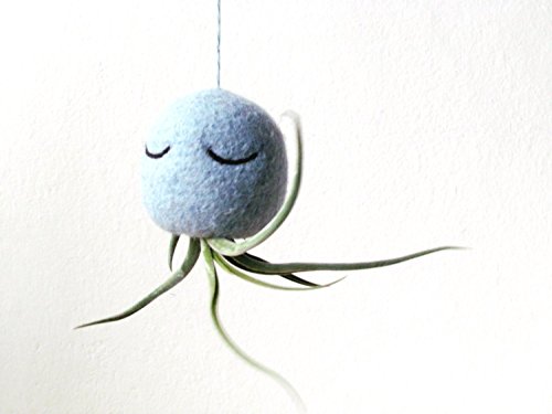 Air Plant Holder - Octopus Planter - Air Plant Hanger - Unique Handmade Gift - Choose Your Color! #TOP1