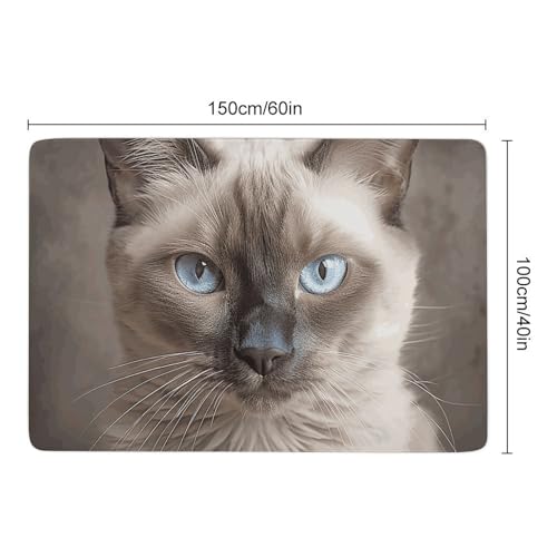 Tapis de bain antidérapant séchage rapide tapis sol baignoire