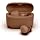 JLab Go Air Pop+ Tones True Wireless Earbuds, in Ear Headphones, Bluetooth Earphones, 35H Playtime Ear Buds with Microphone,