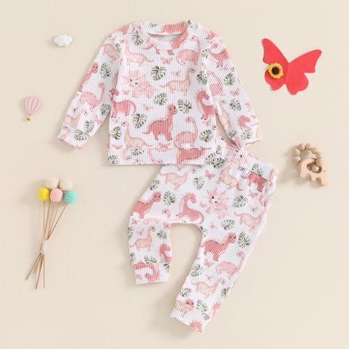 Toddler Baby Girl Fall Winter Clothes Dinosaur/Butterfly/Chicken Print Long Sleeve Crewneck Sweatshirt Pants Set2