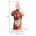 KISSTAKER Human Torso Body Anatomy Model Heart Brain Skeleton Medical School Educational 11inch