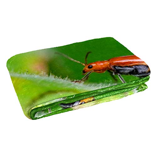 Couverture chaude motif insectes pour stopper le froid sur le canapé