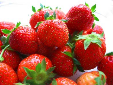 25 semi - Fragola sempredolce