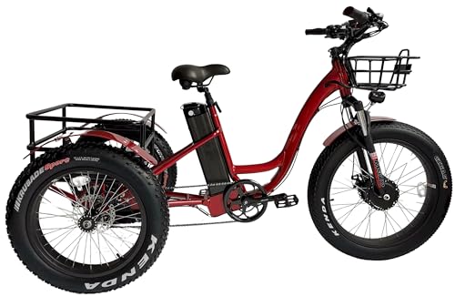 Cozytrikes Fat Fat Tire Tricycle Review (2025): Dual Suspension & LED Lights