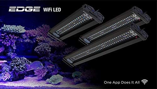 edge aquarium light