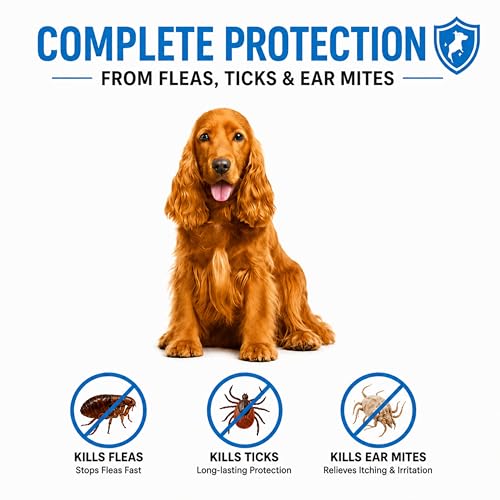 Image of Furtick Tick Chewable Tablet for Dogs (10-20 kg) | Fluralaner 500mg | 3 Month Tick Flea & Mite Protection