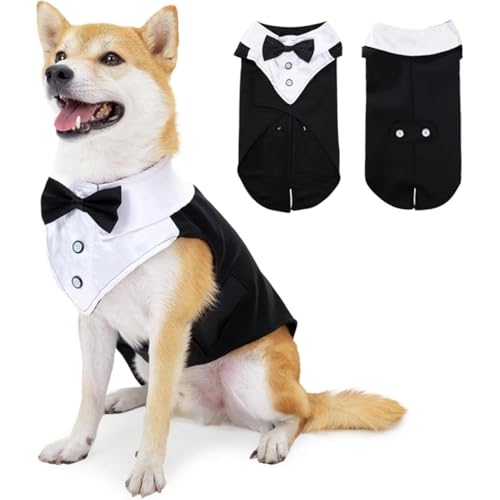 Vlwm̕ ^LV[h ybg am  m  X[c  ^ ^ Č _bNX S[fgo[ sbgu uh[ lN^C nEB NX}X   ϐg (ubN,M)