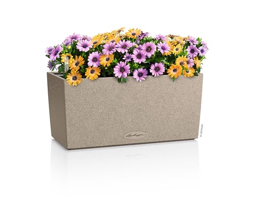 Jardinière de balcon 40 cm LECHUZA Balconera Stone avec indicateur de niveau d'eau