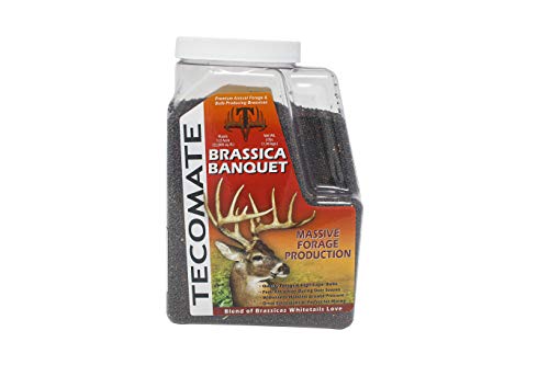 Tecomate® Seed CO - Brassica Banquet/Annual, 3lb Jug