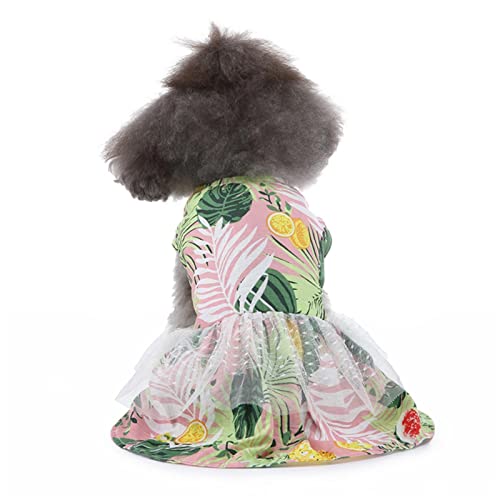 Roupas para Animais de Estimação Roupas para Cachorros de Estimação Roupas para Cães de Estimação Ro