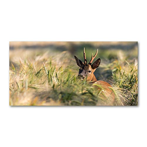 Crédence de cuisine 100x50cm Tulup dosseret en verre de sécurité trempé fond de hotte animaux