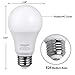 DEWENWILS 4-Pack Dimmable LED A19 Light Bulb, 800 Super Bright, 2700K Soft Warm Light Bulb, 10W (60 Watt Equivalent) LED Bulb, E26 Medium Screw Base, UL Listed