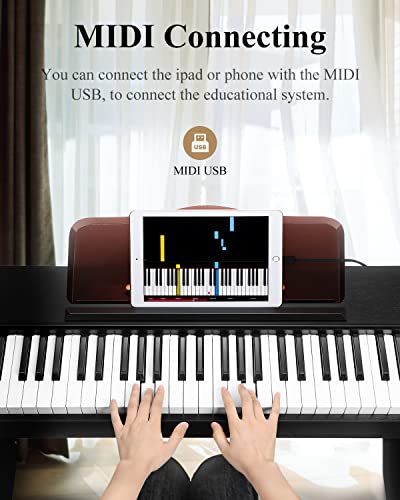 Eastar EK-10S Clavier Piano, 61 touches de taille standard Upright Clavier de Piano numérique pour les débutants avec pédale de sustain et support de livre de musique, cadeau essentiel - Les Beatles, Paul McCartney, John Lennon, RIngo Starr, George Harrison Eastar EK-10S Clavier Piano, 61 touches de taille standard Upright Clavier de Piano numérique pour les débutants avec pédale de sustain et support de livre de musique, cadeau essentiel – Image 5