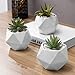 Set of 3 White Ceramic Succulent Plant Pots/Geometric Design Miniature Indoor Planters, 3 Inches