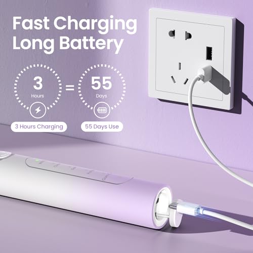 YUNCHI C2 Elektrische Zahnbürste mit 40000 VPM, Schallzahnbürste für Erwachsene & Kinder, USB-C Ladung, 30 Tage Akkulaufzeit, 5 Putzmodi, 2-Min-Timer, 8 Bürstenköpfen, Reiseetui, Lila und Weiß – Bild 5