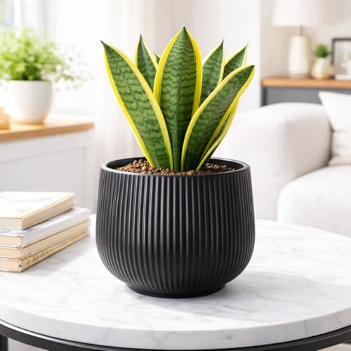 Image of Xtore Sleek Ribbed Black Planter Pot for Indoor Plants | Modern Textured Flower Pot for Home & Office Decor, Tabletop & Shelf Styling (Black, 14 cm x 13.5cm)