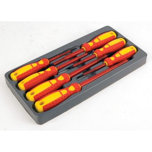 Jeu de tournevis avec étui W30897 anti perte outils - 3