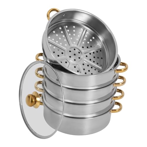 Olla de vapor de 5 niveles con inserto de vapor, juego de olla de vapor con tapa de cristal, olla de acero inoxidable con baño maría para cocinar al vapor, cacerola (plata, 26 x 42 cm)