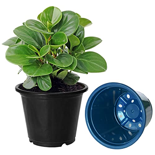 Image of Kuber Industries Durable Plastic Flower Pot|Gamla for Indoor Home Decor & Outdoor Balcony,Garden,6 inchx5 inch,Pack of 3 (Black,Blue,Red)